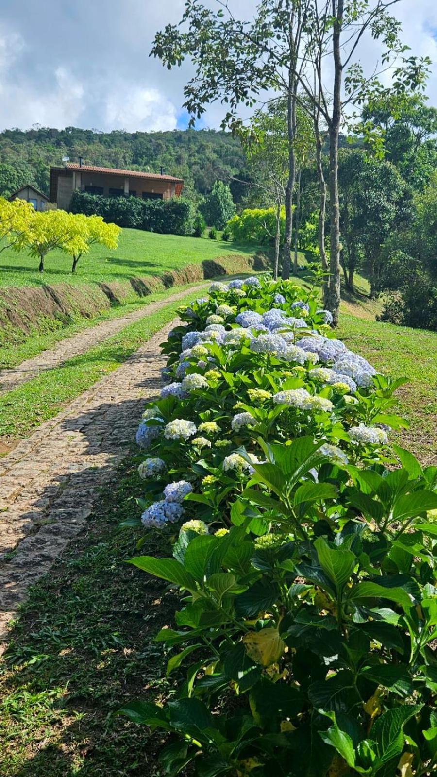 Chales Boa Vista Villa Gonçalves Dış mekan fotoğraf